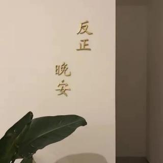 叶子—罗之豪