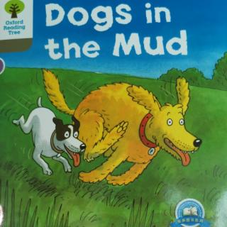 169.Dogs in the mud