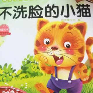 不洗脸的小猫