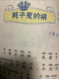 耗子惹得祸