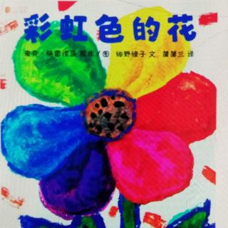 【小巴士晚安故事】彩虹色的花🌸