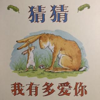 猜猜我有多爱你