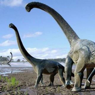 这才是恐龙-2.4恐龙的群居