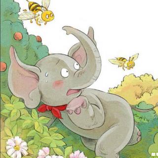 蜜蜂🐝救大象🐘