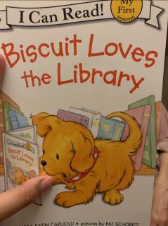 Biscuit loves the library