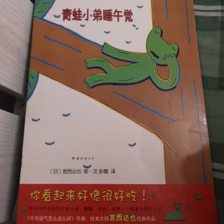 青蛙🐸小弟睡午觉