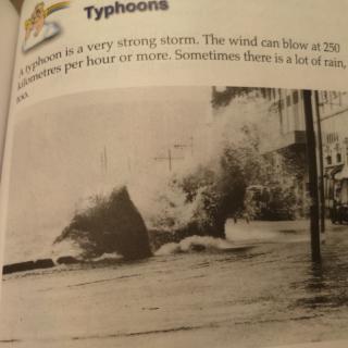 Typhoon s