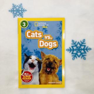 NG2 Cats vs.Dogs P20-37