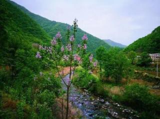 《低吟的荒野-夏4:告别萨格纳加湖》（3）西格徳·奥尔森