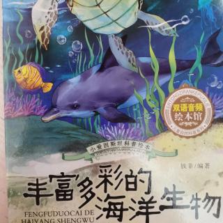 爱诺晚安故事——《丰富多彩的海洋生物》