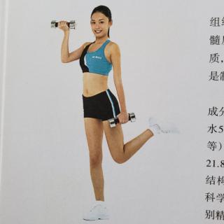 女性的肌肉为什么没有男子发达？