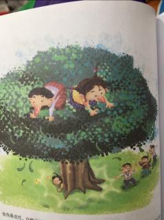 吹牛大王历险记   第二十八章、台风中飞舞的大树🌳
