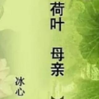 荷叶母亲/冰心