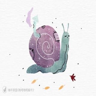 【亲子伴读】啪嗒啪嗒蜗牛🐌