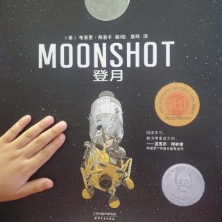 登月（moonshot）
