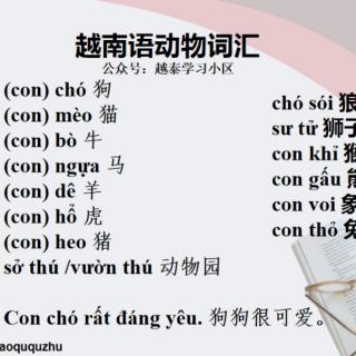 越南语表动物的词汇