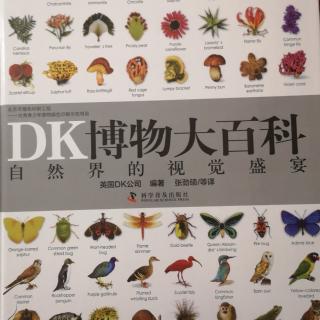 DK博物大百科——人类的影响、生命的起源