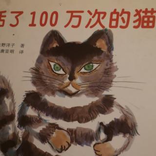 活了一百万次的猫