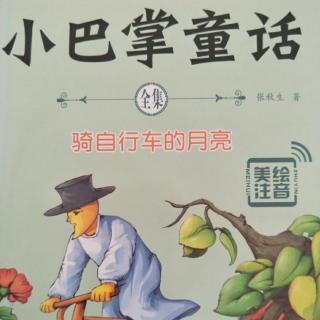 吊床上的红苹果