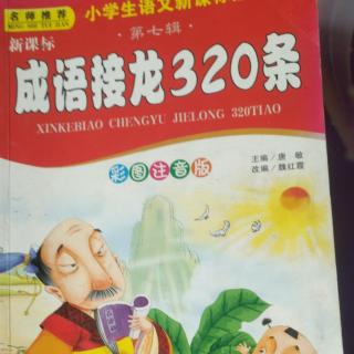 成语接龙320条