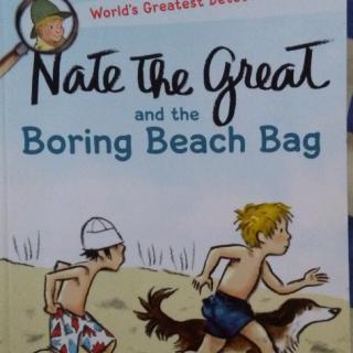 Nate the Great and the Boring Beach Ball