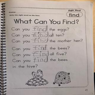 What can you find？