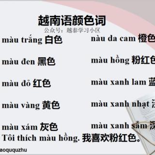 越南语表颜色的词汇