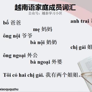 越南语表家庭成员的词汇