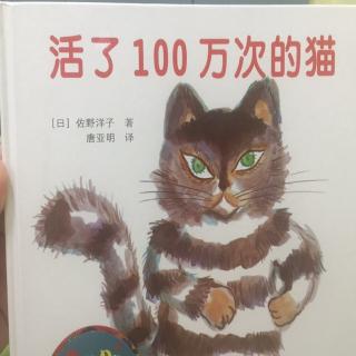 婷宇老师：活了100万次的猫