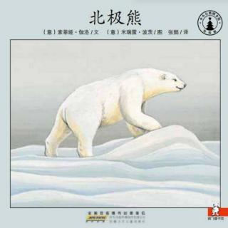 绘本故事《北极熊》
