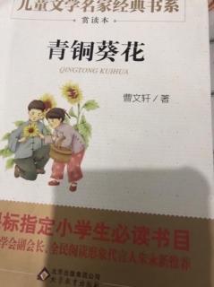 《青铜葵花》冰项链、4