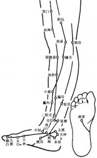 20200513 第230天一学就会的5种中医防病法