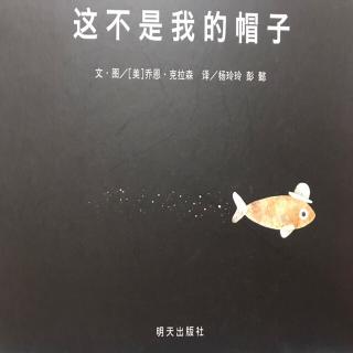 经典绘本：96.这不是我的帽子