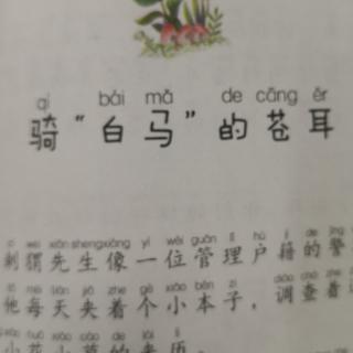 骑“白马”的苍耳