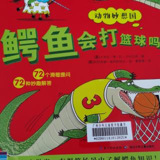 鳄鱼会打篮球吗？