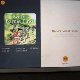 Katie's Forest Finds