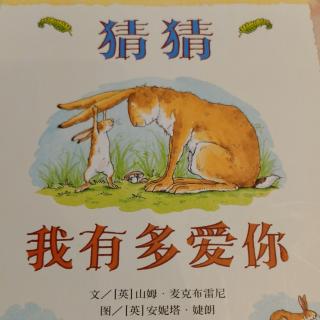 猜猜我有多爱你（绘本）