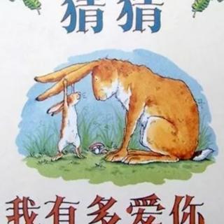 猜猜我有多爱你