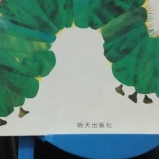 县幼儿园大八班郁镐泽《《好饿的毛毛虫》。》