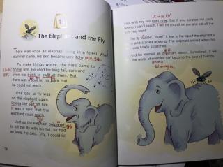 Day 182:The elephant and the fly