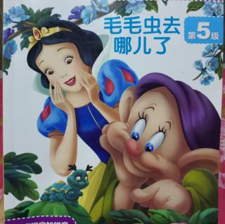 《毛毛虫去哪儿了》