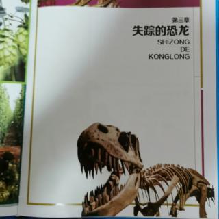 少儿百科之失踪的恐龙🦕