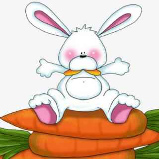 小白兔种萝卜