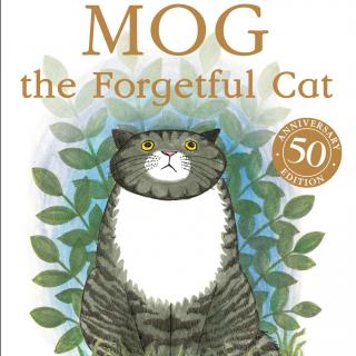 2020.05.15-Mog the Forgetful Cat