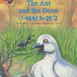 【潜江市大桥幼儿园】睡前故事87《蚂蚁和鸽子》