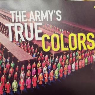 THE ARMY'S TRUE COLORS