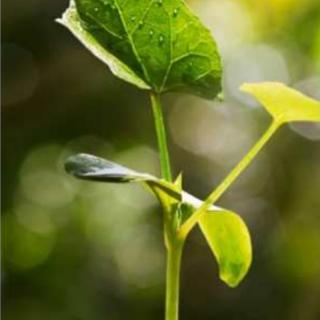 《我们用爱，让折翼的天使飞翔》