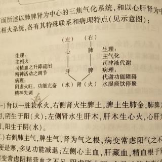 57黄帝内经（凌耀星讲稿版）（三焦两个系统的特殊联系）