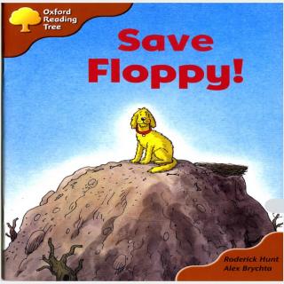 Save floppy