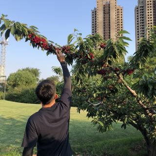 绕口令《蓝教练和吕教练》